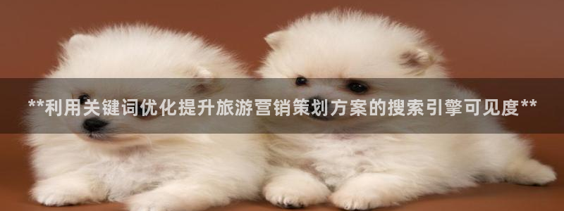 必赢官网下载安装