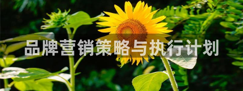 必赢线上网址