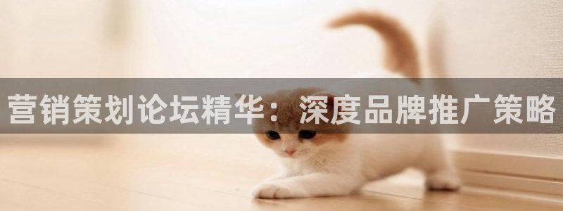 必赢官网网站首页