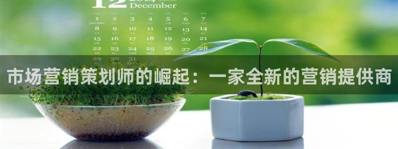 必赢3003平台