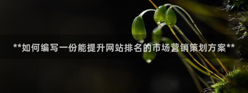 必赢手机app下载 最新版安卓苹果