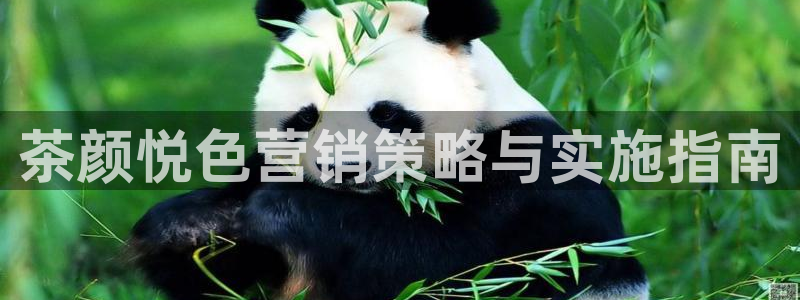 必赢平台网站多少