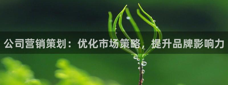 必赢官网app下载安装苹果版
