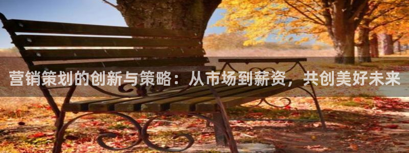 必赢公司是怎样的一家企业