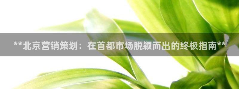 必赢线上网址是多少