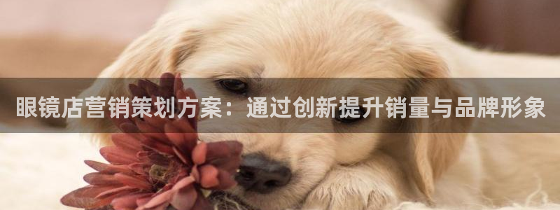 必赢科技中国有限公司