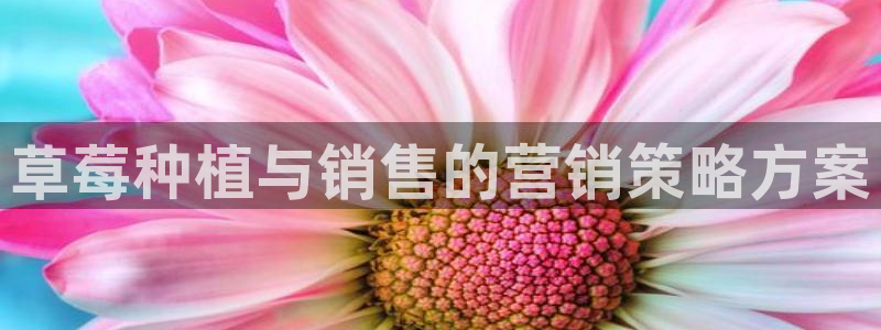 必赢网站有哪些