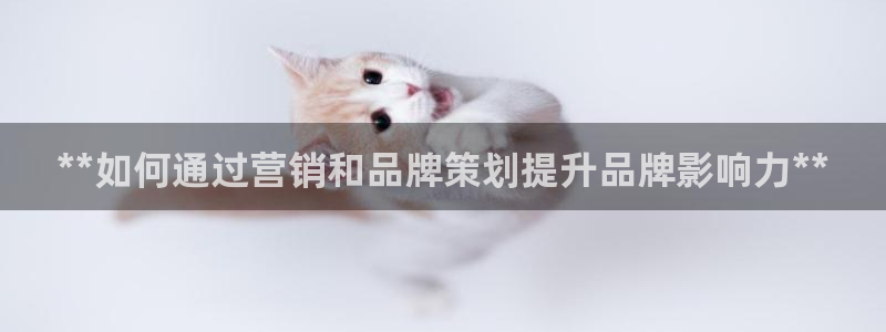 必赢bwinapp