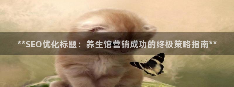 必赢国际技巧