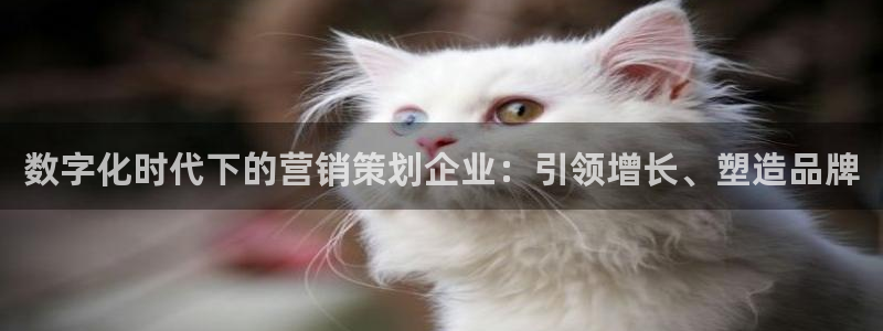 必赢国际437网页版
