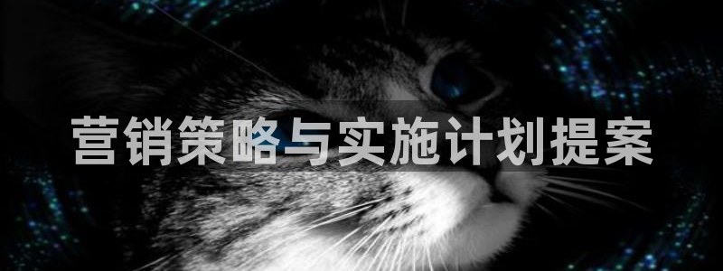 必赢国际怎么样
