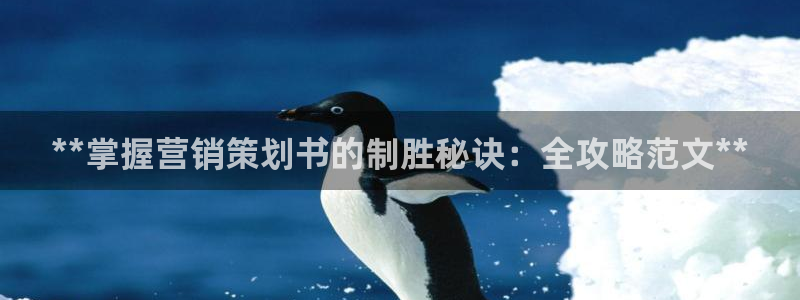 必赢网址官网