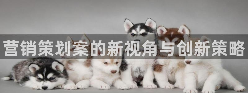必赢官网app下载安装手机版苹果