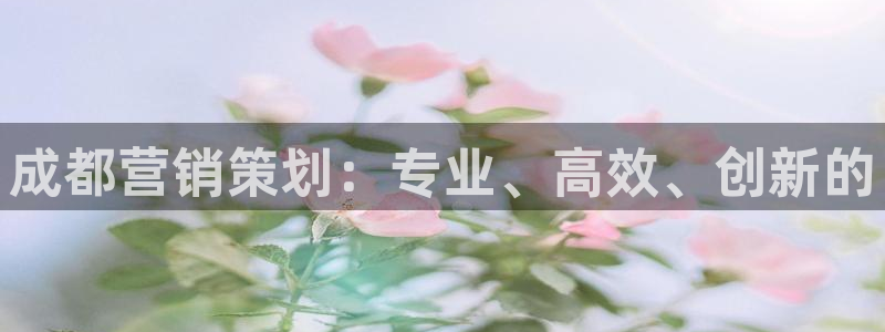 必赢公司是怎样的一家企业
