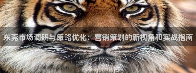 必赢国际网站合法吗