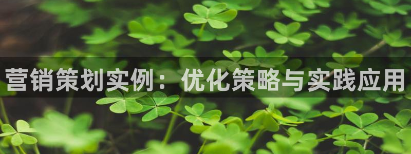 必赢下载安卓版最新版