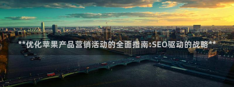 必赢app是干什么的