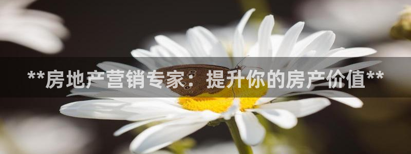 必赢这个平台怎么样啊