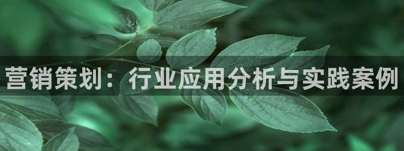 73882必赢app下载