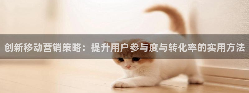 必赢网址手机主页打不开