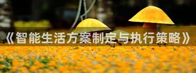必赢3003网官