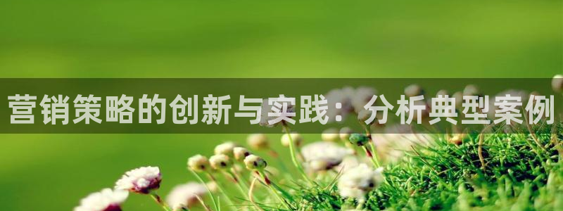 必赢这个软件怎么样知乎