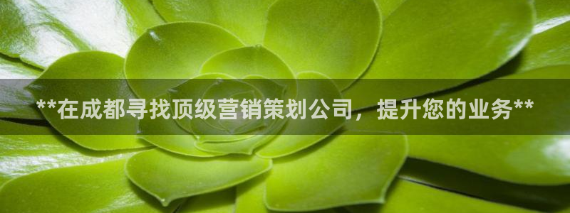 必赢手机app下载安装