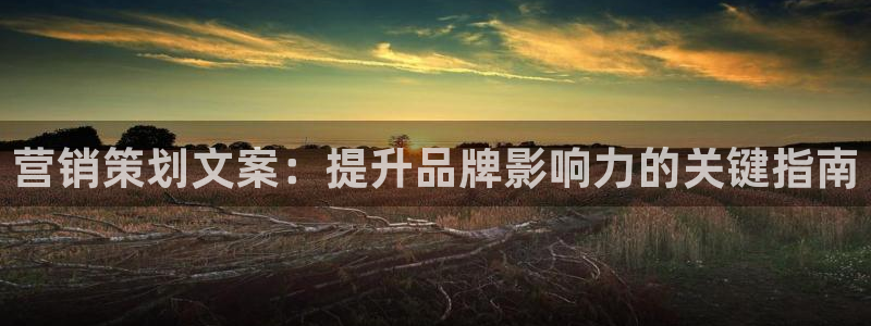 必赢.apk