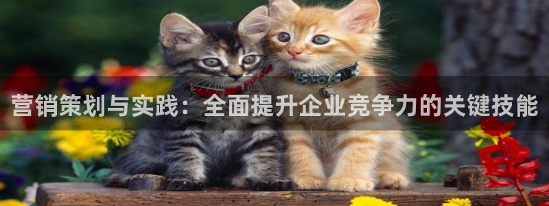 必赢平台官方客服电话