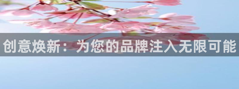 9965必赢棋官方网站怎么样