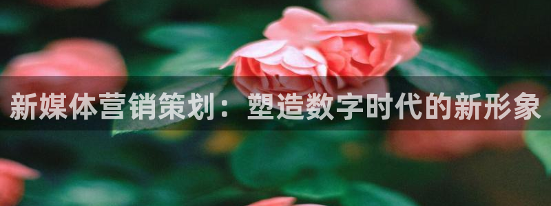 必赢下载软件