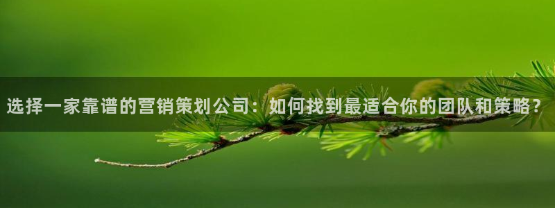 必赢集团网站首页
