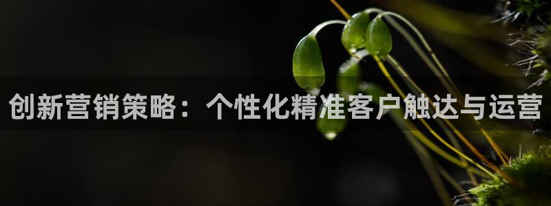 必赢app客户端下载官网