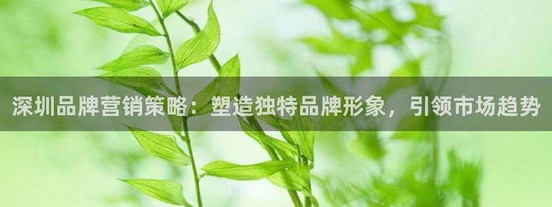 必赢平台网站多少