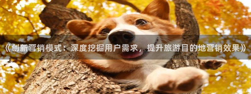 必赢网址官网