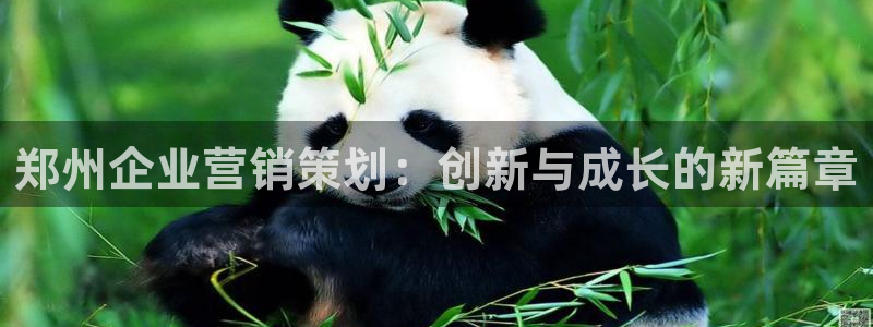 必赢官网app下载安装手机版