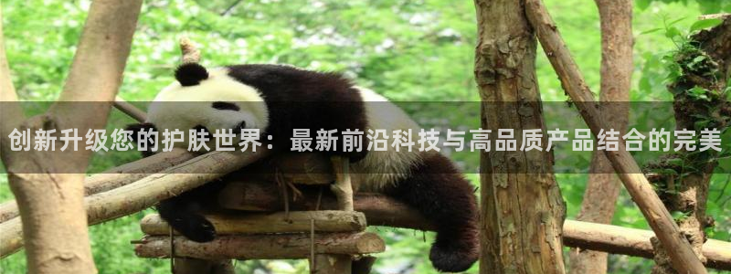 必赢平台官方下载