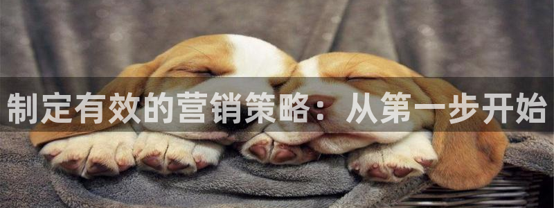 必赢国际437官网版