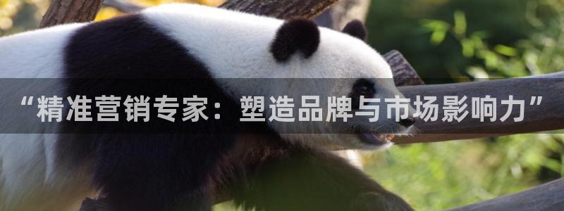 必赢九五