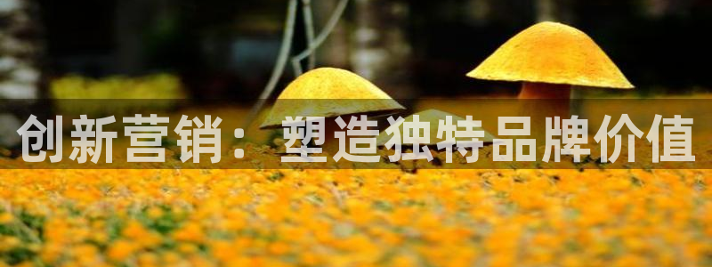 必赢手机版网站多少