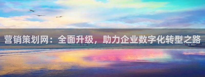 必赢棋盘app下载官网