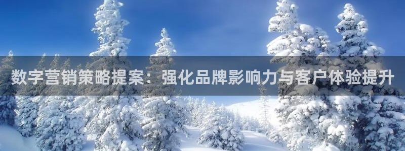 必赢国际的网站多少