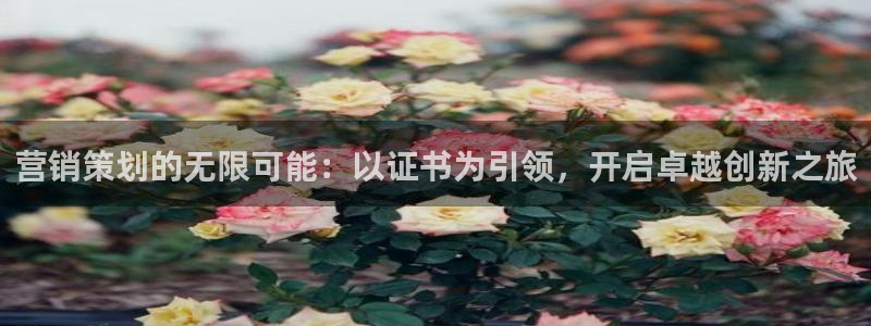 必赢3003 会员账号