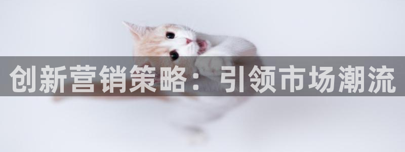 必赢官网网站入口：创新营销策略