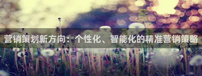 必赢网站是哪一个
