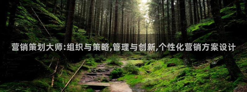 必赢网站打不开