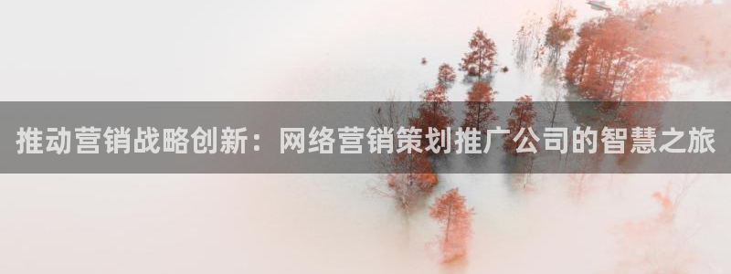 必赢公司：推动营销战略创新：网