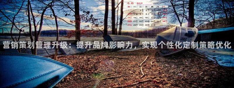 必赢网站mg冰球突破豪华版