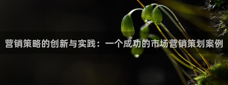 必赢国际官网登录