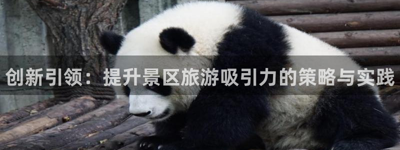 必赢平台官方网站登录